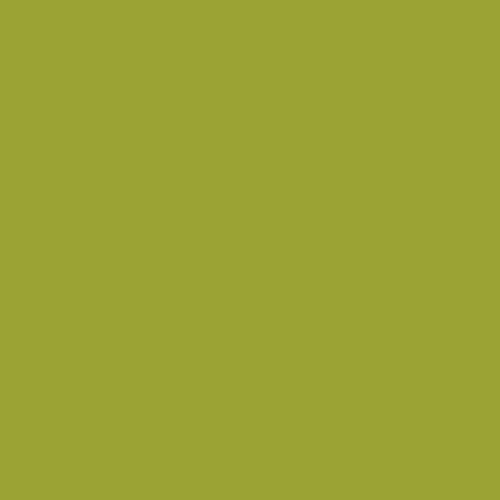 Bisley groen